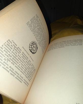 Libro – “I Tarocch*”