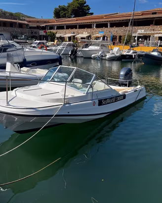 Boston Whaler revenge 21