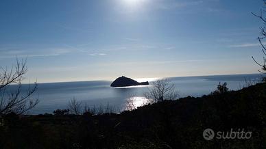 Fabbricato e terreni - residenziale - commerciale