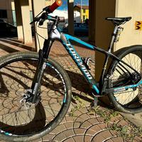 MTB Torpado Ribot S 29”