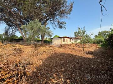 CASA INDIPENDENTE A SABAUDIA