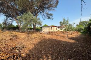 CASA INDIPENDENTE A SABAUDIA