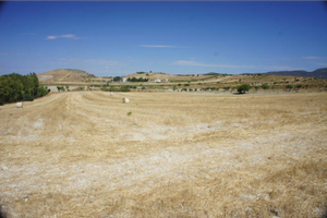 Terreno agricolo irriguo