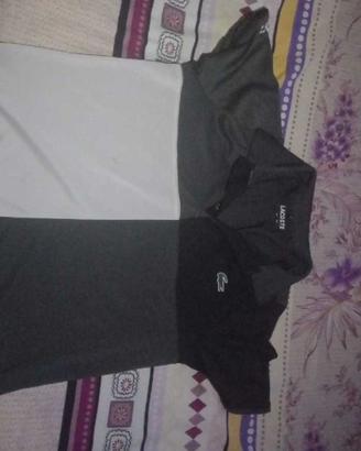 t-shirt lacoste 