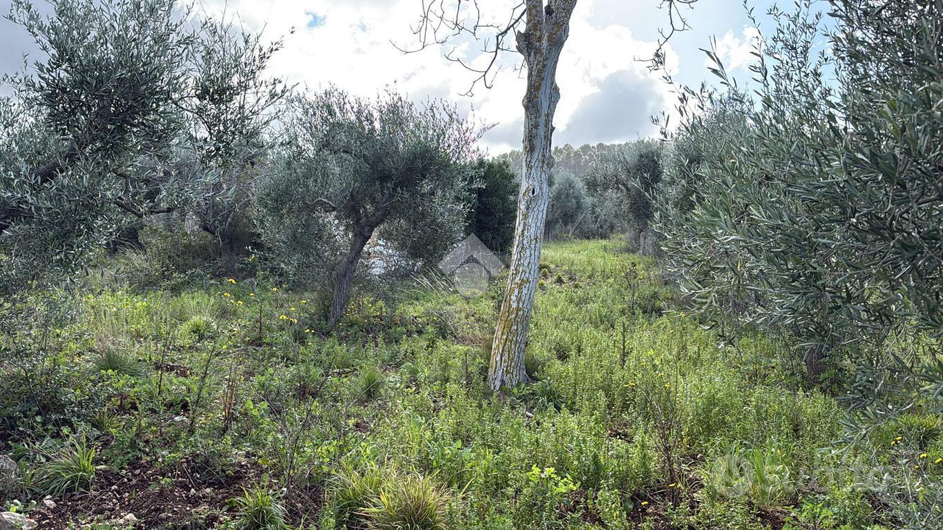 TER. RESIDENZIALE A RODI GARGANICO - Vista 5