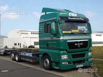 Parabrezza MAN TGX XLX (2008 in avanti)