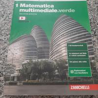 libro matematica 1 multimediale verde 