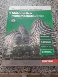 libro matematica 1 multimediale verde 