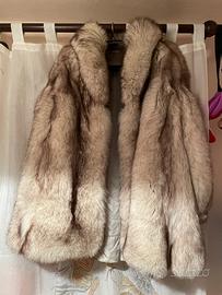 pelliccia di volpe argentata della Groenlandia