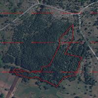 Terreno boschivo Cagnano Varano