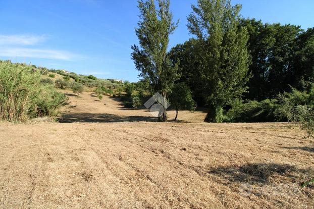 TER. AGRICOLO A FONTE NUOVA