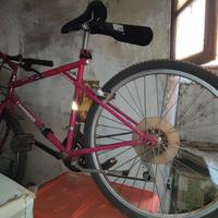 Bicicletta Mountain Bike MTB Legnano