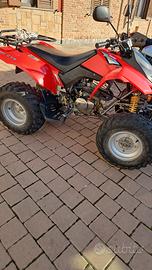 derbi 250 quad 