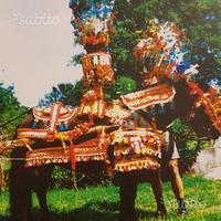 Finimenti per cavallo per carretto siciliano