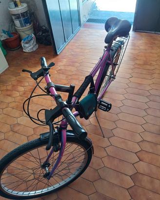 bici da uomo
