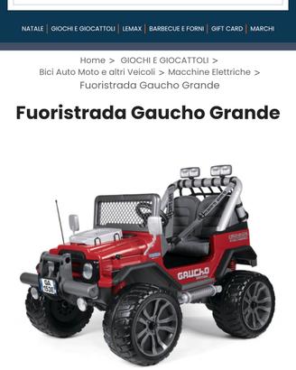 Gaucho Grande 