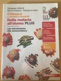 Chimica concetti e modelli
