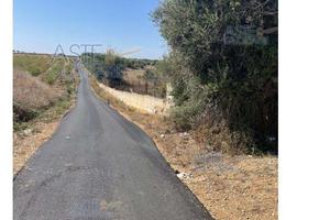 Terreno Agricolo Conversano [A4322892]