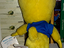 Immagine 2