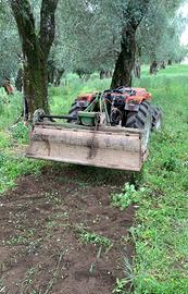 Fresa celli 1.60 spostabile