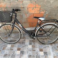 Biciletta injuga venus donna