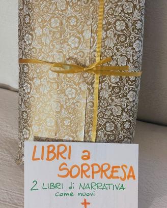 LIBRI A SORPRESA: 2 romanzi ROSA/d'AMORE + 1 astuc