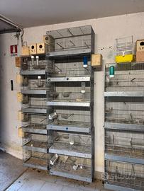 Gabbie da cova allevamento uccelli