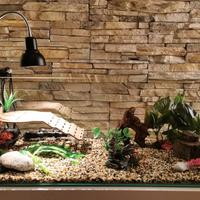 Tartarughiera Zolux 80 + filtro, riscaldatore, UV