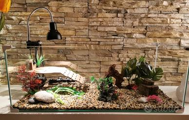 Tartarughiera Zolux 80 + filtro, riscaldatore, UV