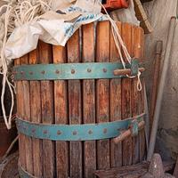 torchio x uva diametro 60