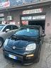 fiat-panda-1-0-firefly-s-s-hybrid-city-life
