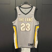 Cleveland Cavs LeBron James