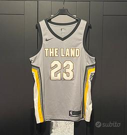 Cleveland Cavs LeBron James