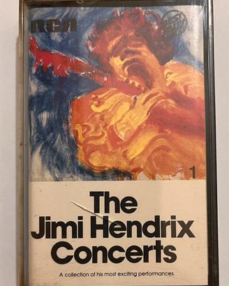 The Jimi Hendrix Concerts
