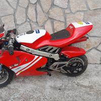 minimoto
