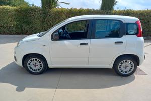 Fiat Panda BENZINA 5 POSTI 2021