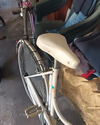 bicicletta donna 