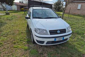 Punto Natural Power 5 porte