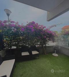 Casa vacanze Ceriale - Monolocale 4 posti letto