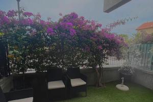 Casa vacanze Ceriale - Monolocale 4 posti letto