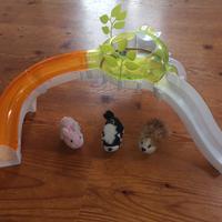 Gioco Zhu Zhu Pets - Solo in Trentino 