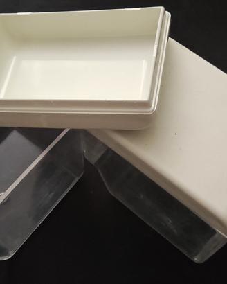 Set di 2 piccoli contenitori da frigo