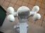 Immagine 1