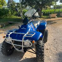 Quad polaris trial boss 330