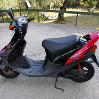 Suzuki zz sepia