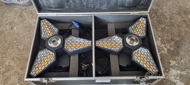 Coppia Lampada Retrò Flower LED