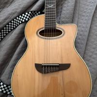 Chitarra Eko NXT series