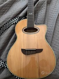 Chitarra Eko NXT series