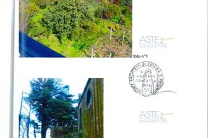 Albergo/Hotel Piedimonte Etneo [A4321266]