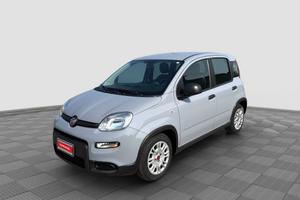 FIAT Panda Panda 1.0 FireFly Hybrid City Life